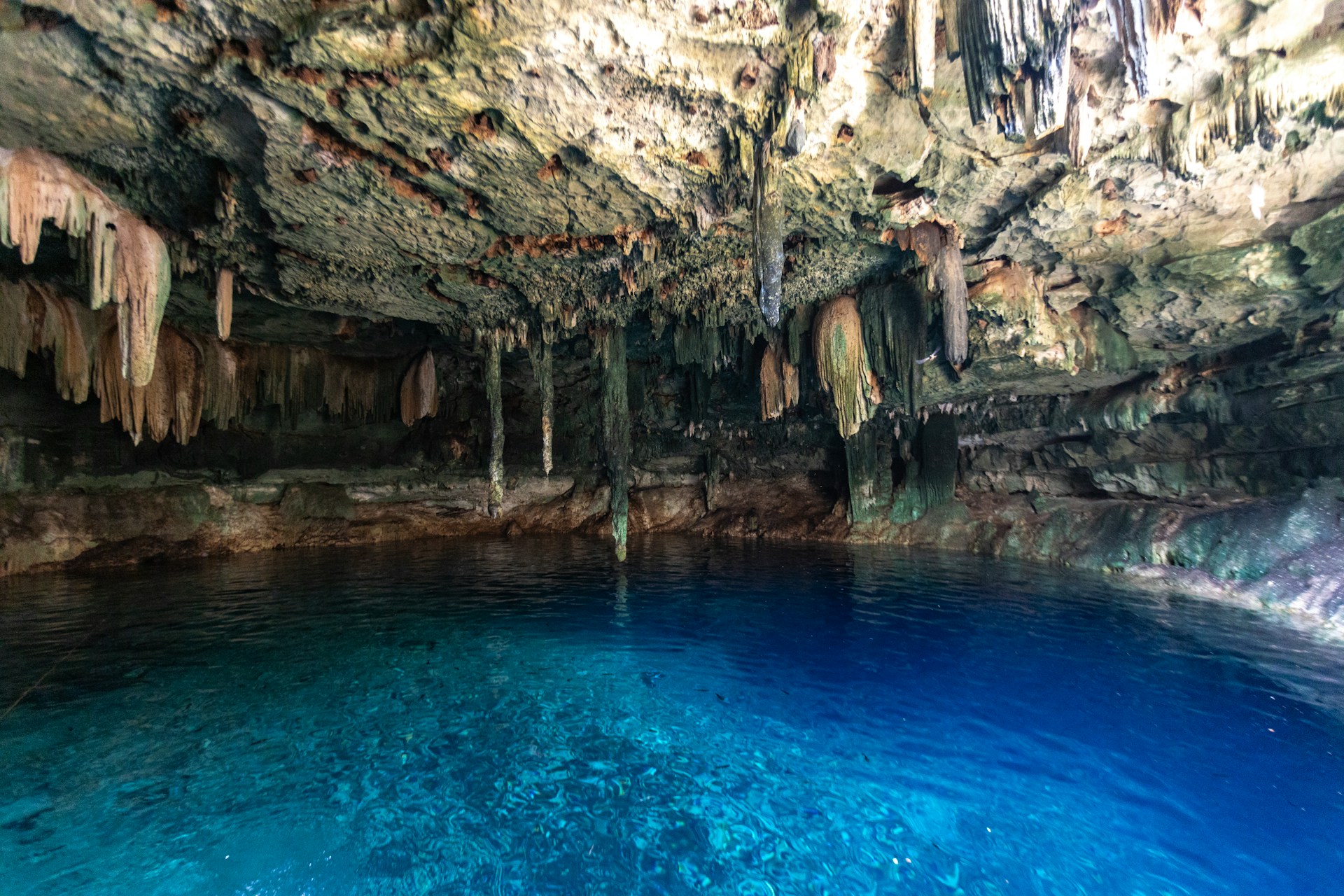 Cenotes, Swimming, Mexico