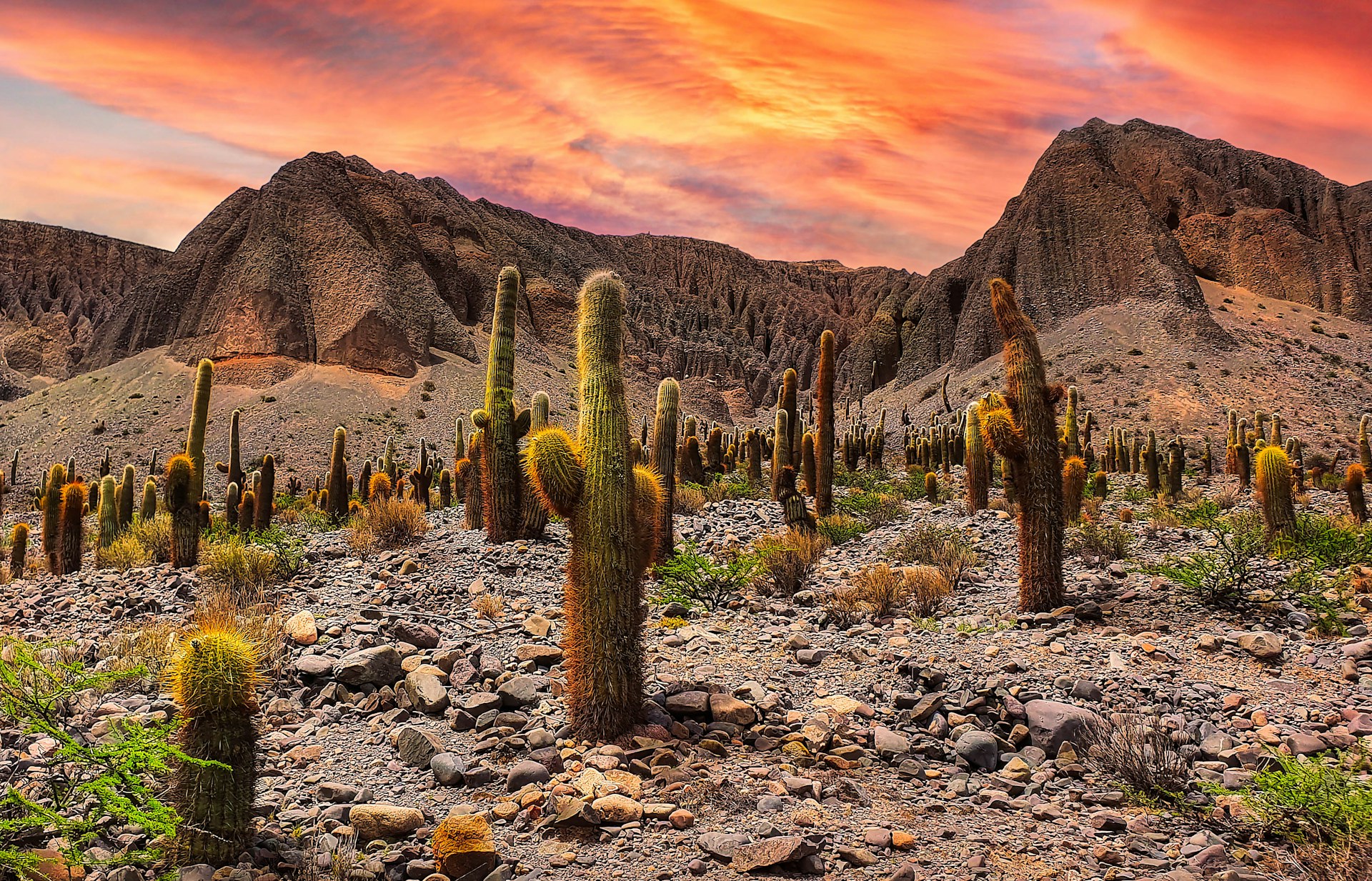 Salta, Argentina