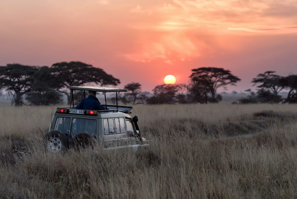 safari scene