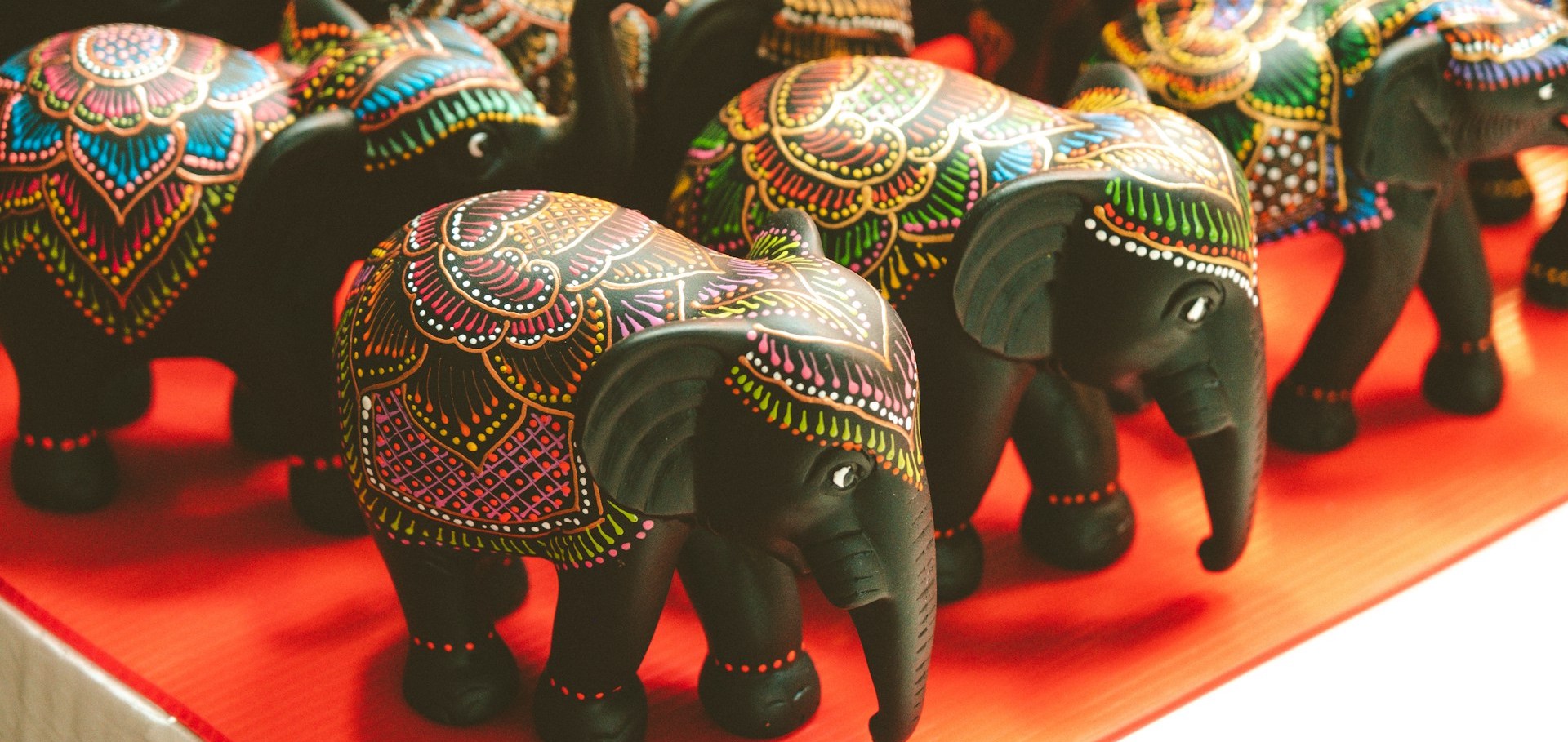 elephant, Sri Lanka