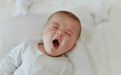 Do Kids Need Japanese Encephalitis Vaccines? Family Travel Advice