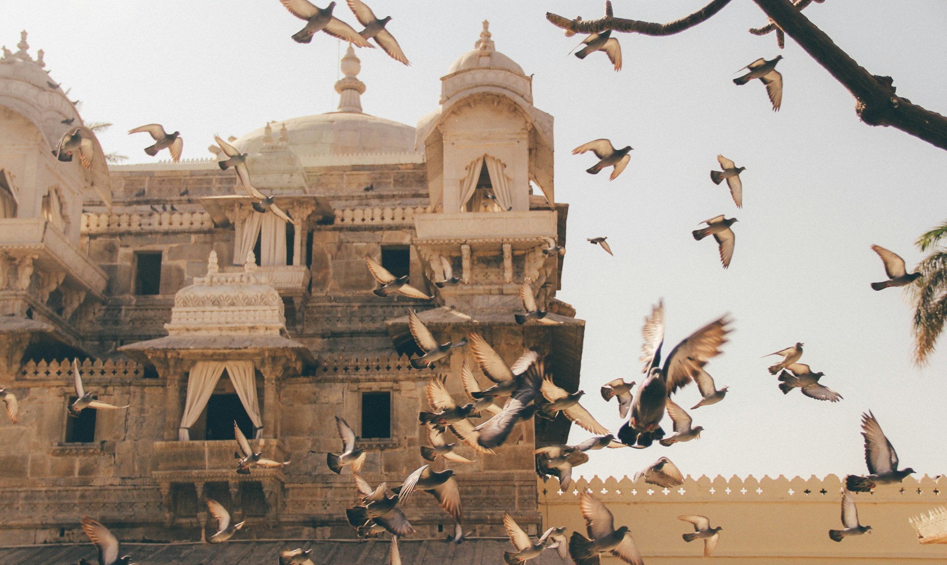 Temple and birds outside