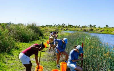 Volunteering Abroad? Why Rabies and Yellow Fever Jabs Are Essential